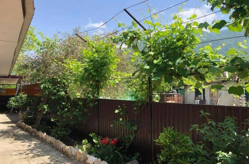 Изображение Изображение отеля / гостиницы "Гостевой дом «Фазенда»" #10 #8