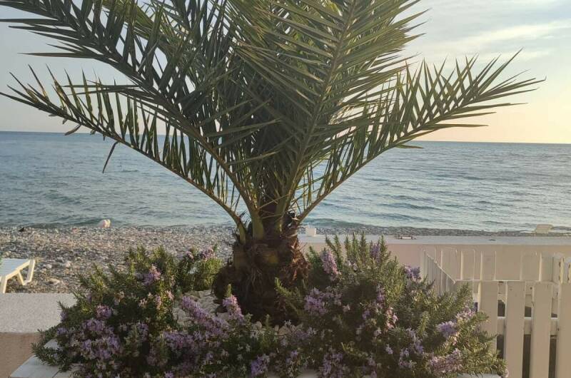 Изображение Изображение квартиры / апартамента "Уютная квартира у моря" #11 #9