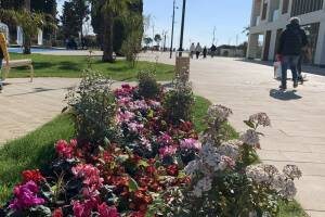 Изображение квартиры "Апартаменты «Сардиния»"