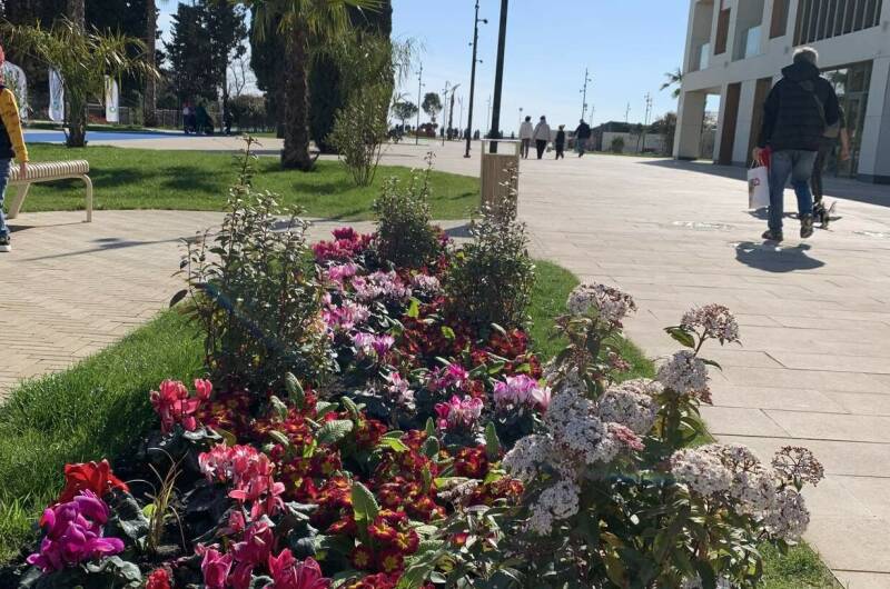 Изображение Изображение квартиры "Апартаменты «Сардиния»" #1 #1