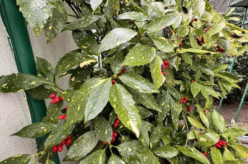 Изображение Изображение гостиницы "Гостевой дом «ДиЛен»" #2 #2