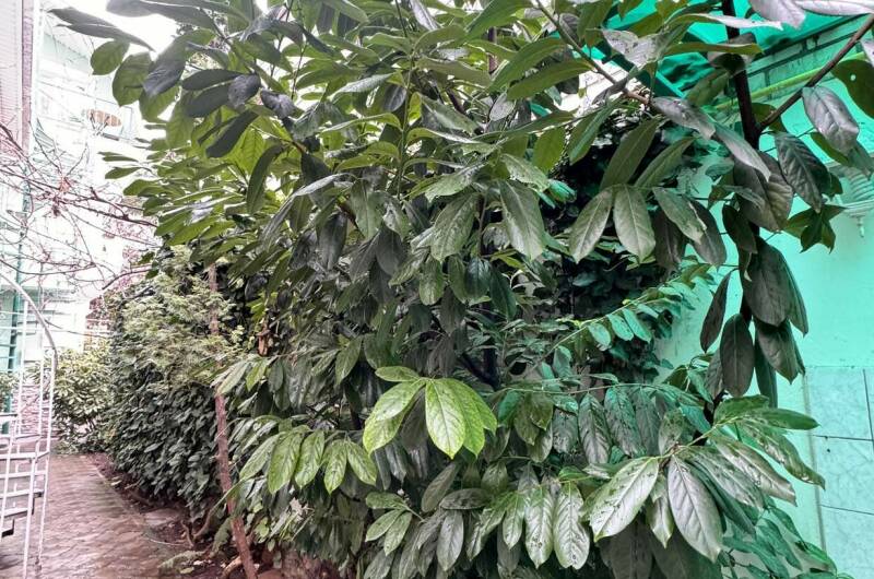 Изображение Изображение гостиницы "Гостевой дом «ДиЛен»" #5 #5