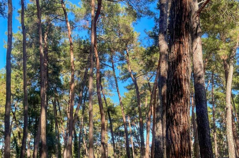 Изображение Изображение гостиницы "Гостевой дом «Harmony»" #8 #8