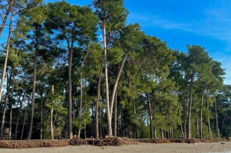 Изображение Изображение отеля / гостиницы "Гостевой дом «Harmony»" #10 #8