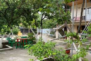 Изображение гостиницы "Гостевой дом «Мариам»"