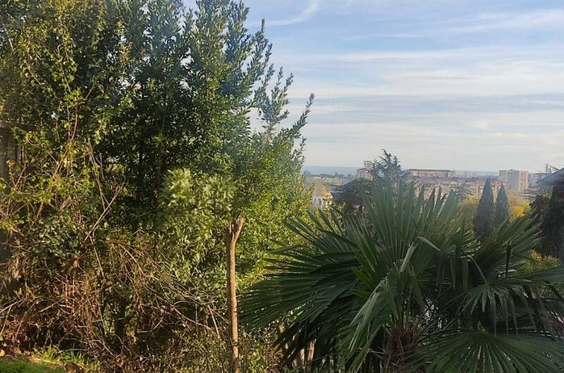 Изображение Изображение гостиницы "Гостевой дом «у Нино»" #2 #2