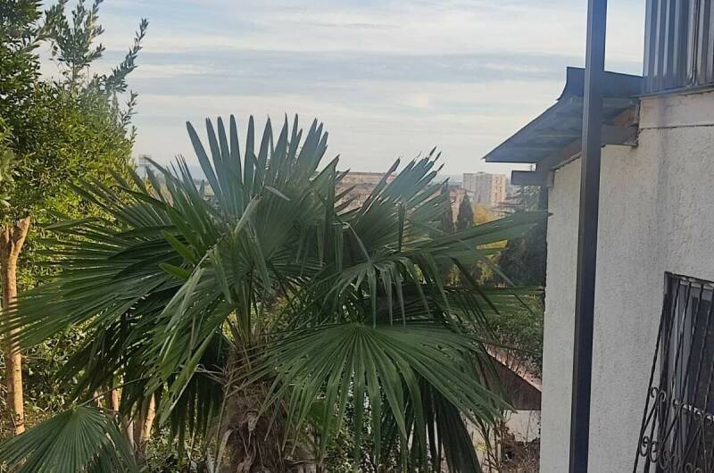 Изображение Изображение гостиницы "Гостевой дом «у Нино»" #4 #4