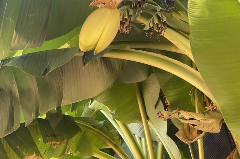 Изображение Изображение отеля / гостиницы "Гостевой дом «Золотой песок»" #10 #8