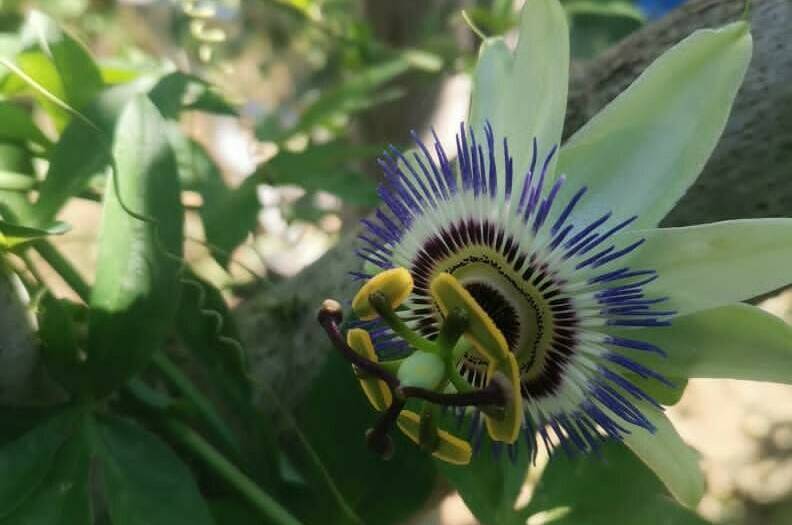 Изображение Изображение гостиницы &quot;Частное домовладение «Оазис»&quot; #6 #6