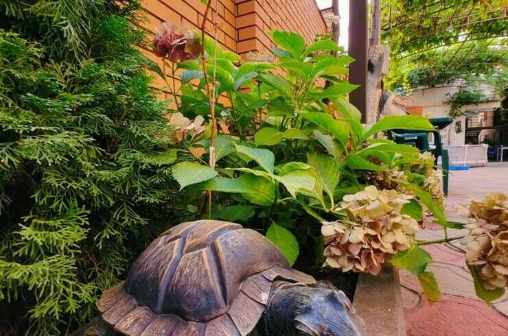 Изображение Изображение гостиницы "Гостевой дом «Нателла»" #7 #7