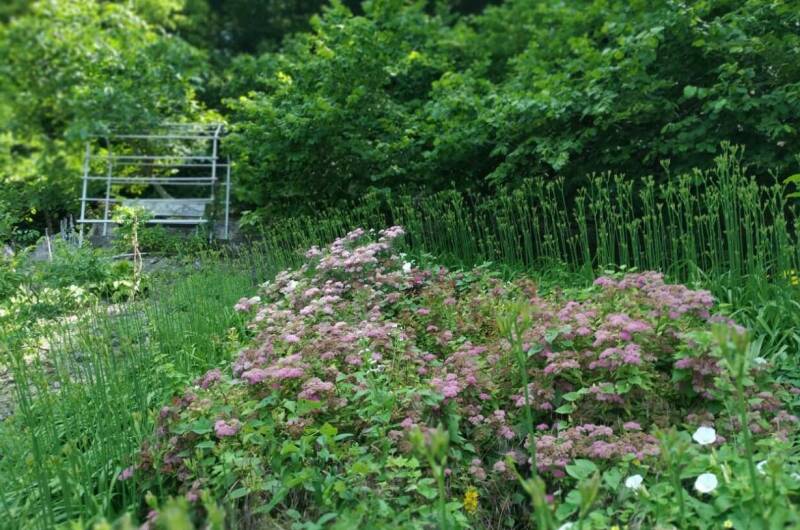 Изображение Изображение гостиницы &quot;Гостевой дом «Яблоневый сад»&quot; #3 #3