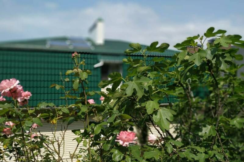 Изображение Изображение гостиницы &quot;Гостевой дом «Яблоневый сад»&quot; #5 #5