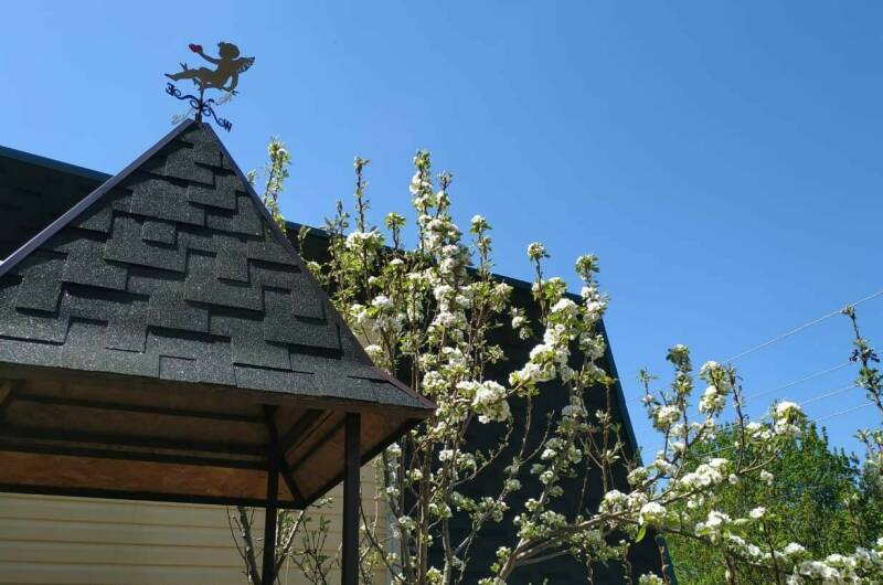 Изображение Изображение гостиницы &quot;Гостевой дом «Яблоневый сад»&quot; #8 #8