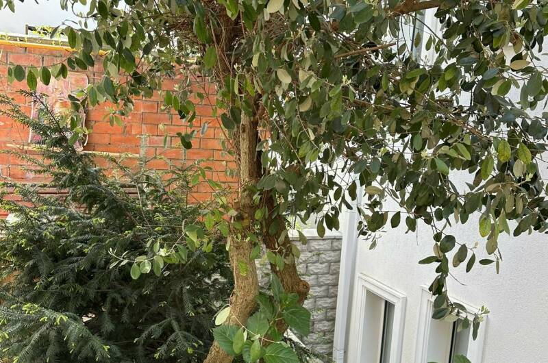 Изображение Изображение гостиницы &quot;Комплекс коттеджей в центре города&quot; #4 #4