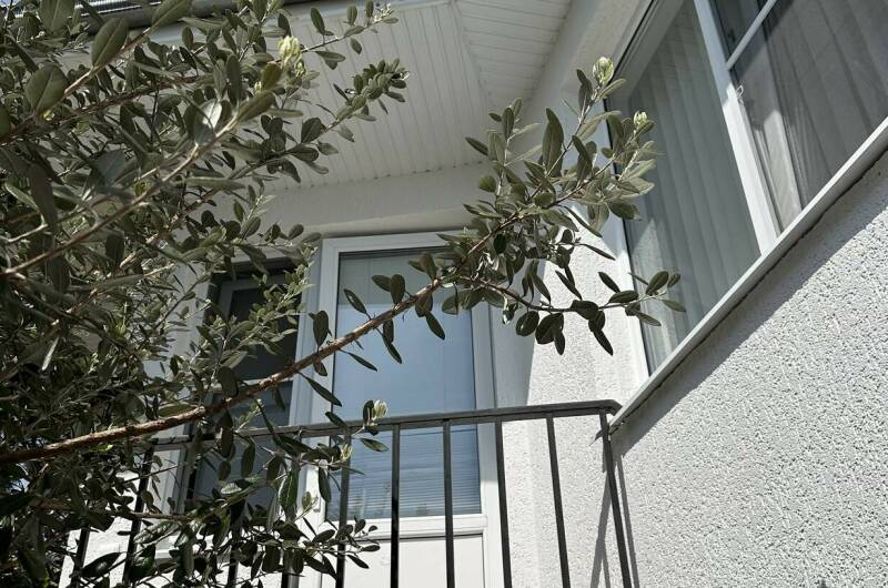 Изображение Изображение гостиницы &quot;Комплекс коттеджей в центре города&quot; #7 #7