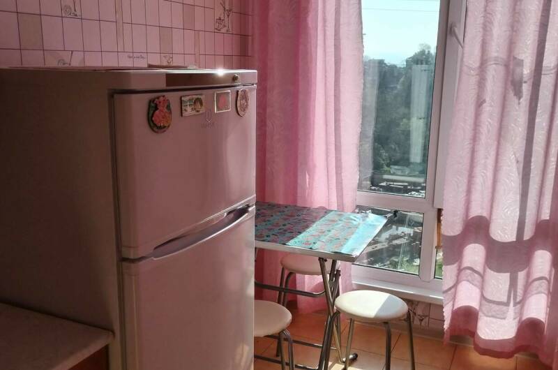 Изображение Изображение квартиры "Студия на Удачи" #2 #2