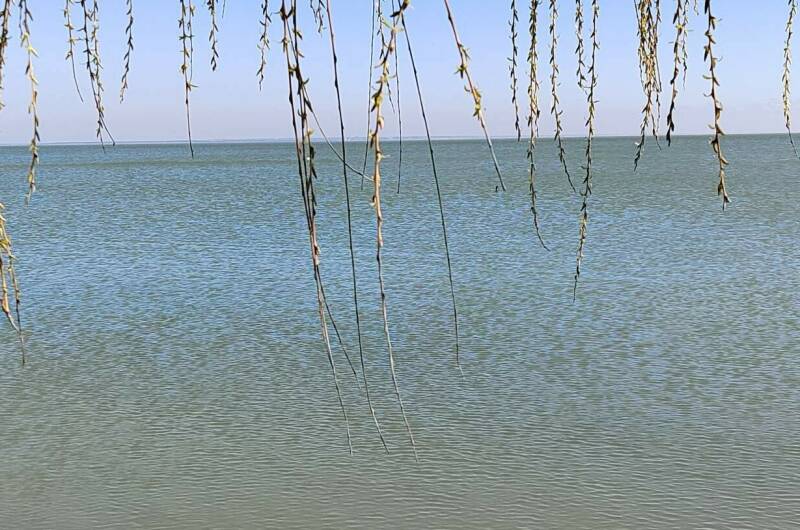 Изображение Изображение гостиницы &quot;Мини-гостиница в Ейске&quot; #2 #2