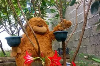 Изображение Изображение гостиницы &quot;Гостевой дом «NORA»&quot; #2 #2