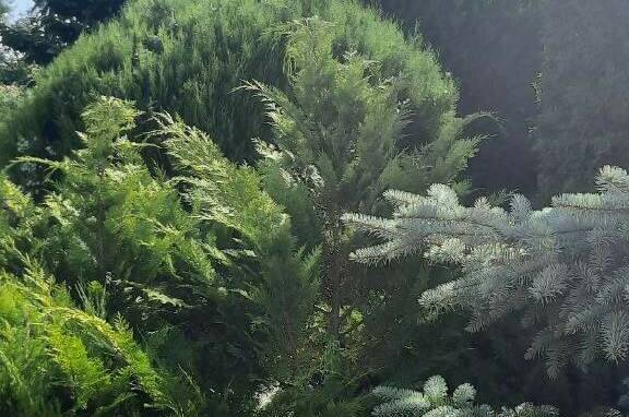 Изображение Изображение гостиницы &quot;Гостевой дом «Италмаз»&quot; #3 #3