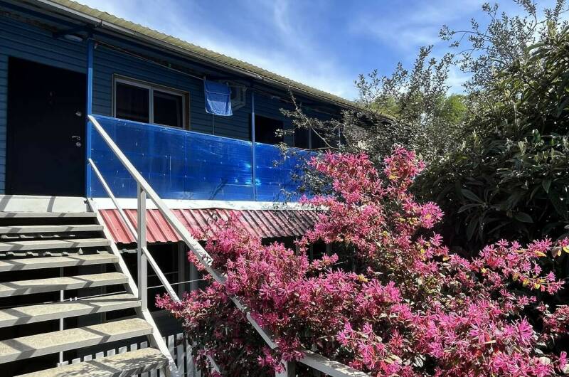 Изображение Изображение гостиницы "Гостевой дом «Пальма»" #3 #3