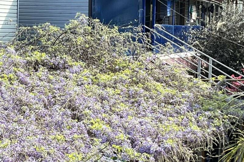 Изображение Изображение гостиницы "Гостевой дом «Пальма»" #5 #5