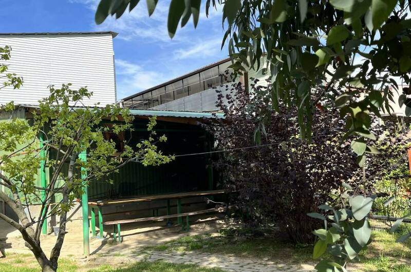 Изображение Изображение гостиницы "Гостевой дом «Пальма»" #6 #6