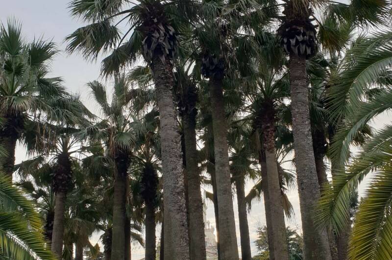 Изображение Изображение квартиры / апартамента "Квартира в ЖК «Остров Мечты»" #7 #5