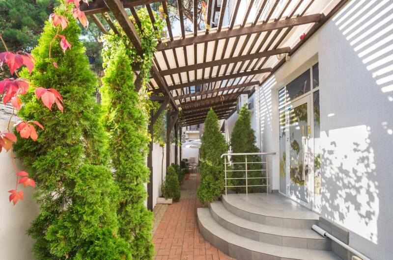 Изображение отеля / гостиницы "Гостиница «Абрикос Плюс»" #1