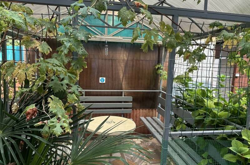 Изображение Изображение гостевого дома "Частный дом «Лазуриус»" #11 #9