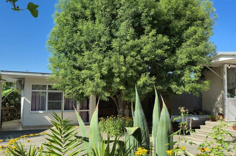 Изображение Изображение частного сектора "Гостевой дом «У Гаянэ»" #3 #1