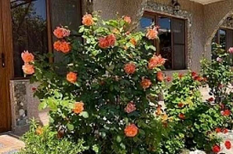 Изображение Изображение гостевого дома "Гостевой дом «Диана»" #11 #9