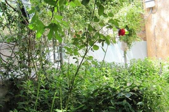 Изображение Изображение коттеджа "Домик у моря" #3 #1